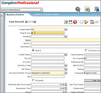 ERP software demo - Business Partner