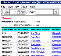 ERP software demo - Invoice Report Customized